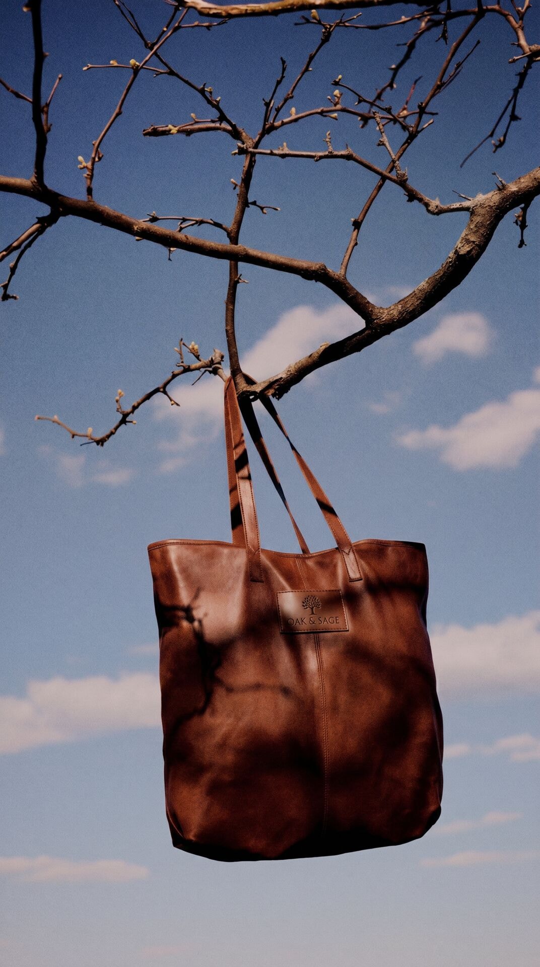 Brown Tote Sky Branch
